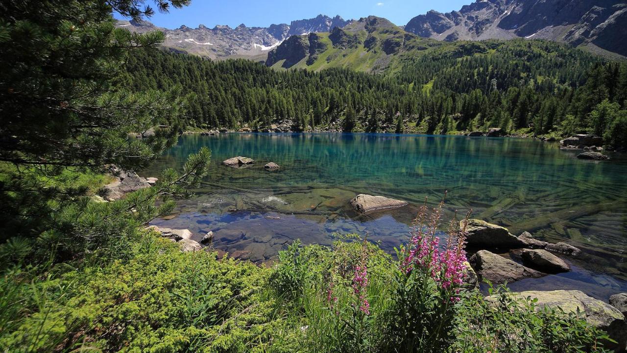 Ca' Del Borgo, Rooms & Suites Poschiavo Kültér fotó